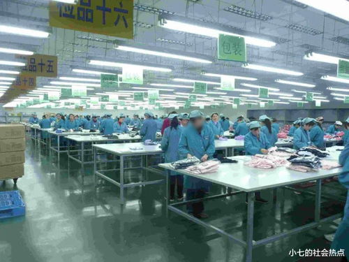 深圳三和大神 再见了深圳, 再见工厂, 天天下早班, 收拾行李归家