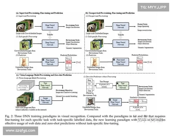 全面解析欧协联决赛规则及其影响因素的深度权威解读指南全面综述